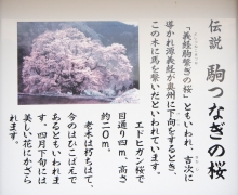 413-001-Web.jpg