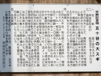 98170057.jpg