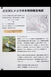 名称未設定 1.jpg