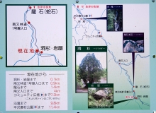 98160035.jpg