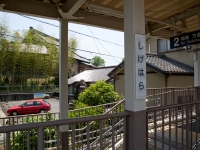 _0006420.jpg