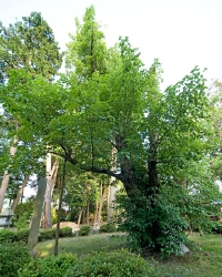 3015.jpg