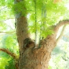 1027-4.jpg