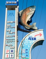 4002.jpg