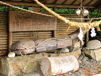 SC6924.jpg