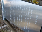 6202.jpg