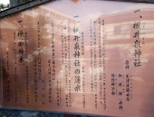 6101.jpg