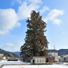 00126-0.jpg