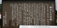 41902.jpg