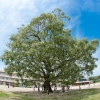 1043-0.jpg