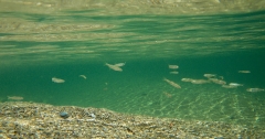 2002-2.jpg