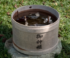 27010.jpg