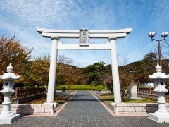 27007.jpg