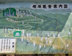 2523-0.jpg