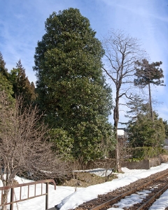 051-10127.jpg