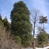 051-10127.jpg