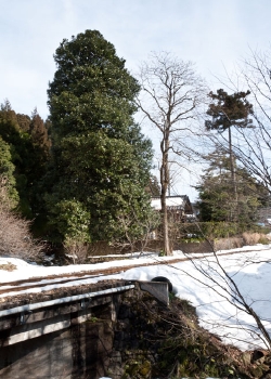 041-10127.jpg