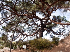 105051.jpg