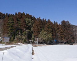 228001.jpg