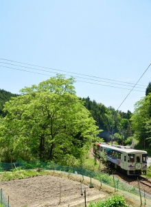 _DSC0753.JPG