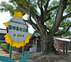 _04D6173.JPG
