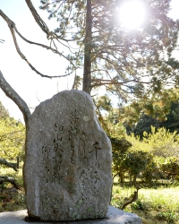 _04D1876.JPG