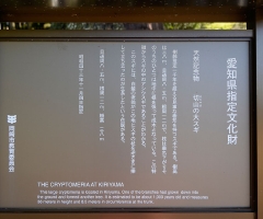 _04D1868.JPG