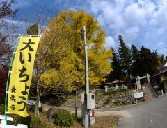 _06D8442.JPG
