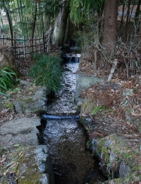 _06D9387.jpg