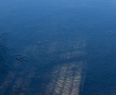 _06D9319.jpg