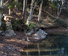 _06D9318.jpg