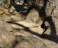 _06D2141.JPG