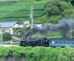 _04D7133.JPG