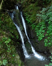 _04D7143.JPG