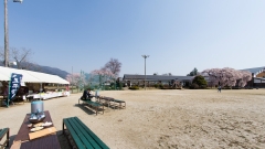 410074-0.jpg