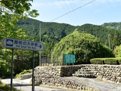 _D4S1306.JPG