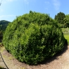 _06D5428.JPG