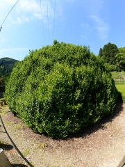 _06D5428.JPG