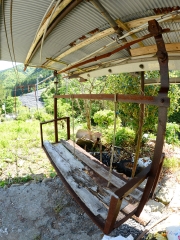 _06D5441.JPG
