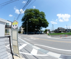 _04D6900.JPG