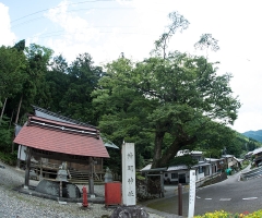 _04D7488.jpg