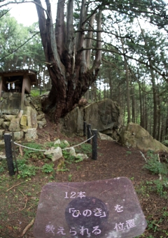 _04D7495.jpg