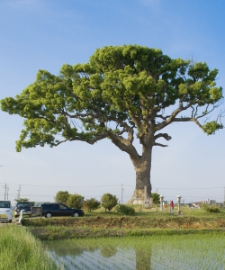 9917.jpg