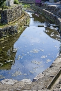 2009.jpg