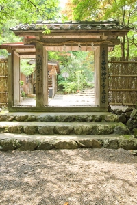 2012.jpg
