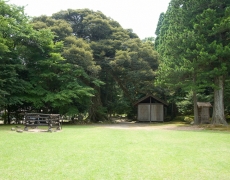 2009.jpg