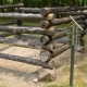 2008.jpg